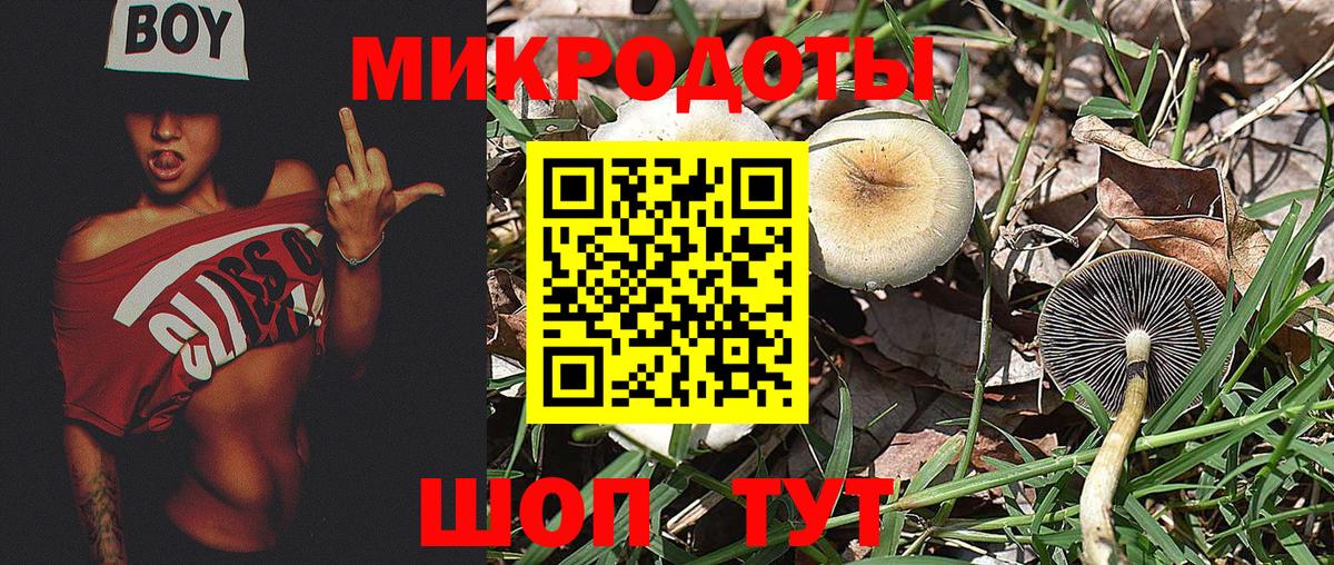 Галлюциногенные грибы ЛСД  Псилоцибиновые грибы GOLDEN TEACHER  Вход с VPN  Якутск 