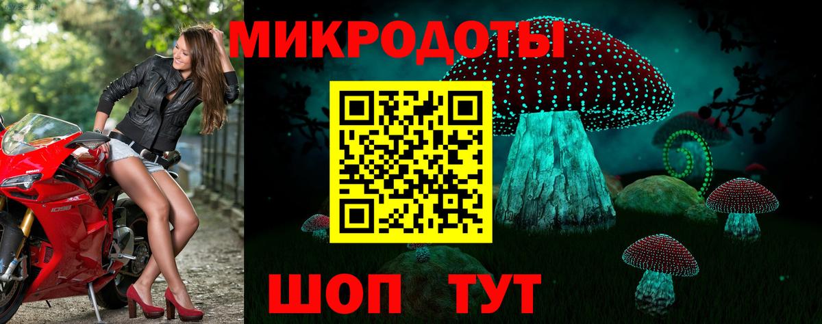 Псилоцибиновые грибы Psilocybine cubensis Якутск